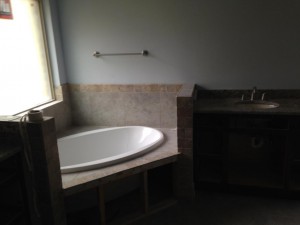 Master bathroom tub and vanity   